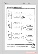 Lernpaket Lesen in der 2. Klasse 06.pdf